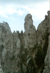 ai-petry.jpg (12826 bytes)