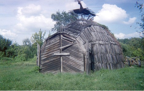 Saraji.jpg (43791 bytes)